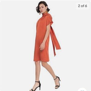 Alantino Lined Shift Dress with Back Drop-Collar and Drop-Tie for Women